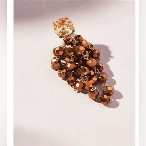 Anthropologie, Waterfall Beaded Drop Earrings, Taupe Brown -NWT!! - Picture 3 of 9